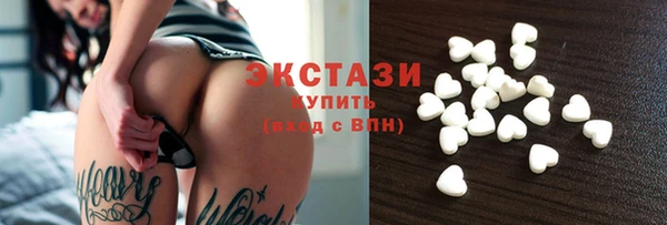 ECSTASY Богородицк